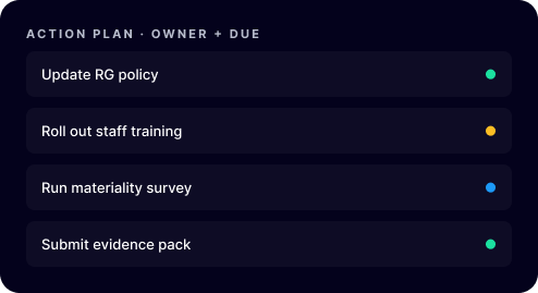 Action plan with owners and due dates